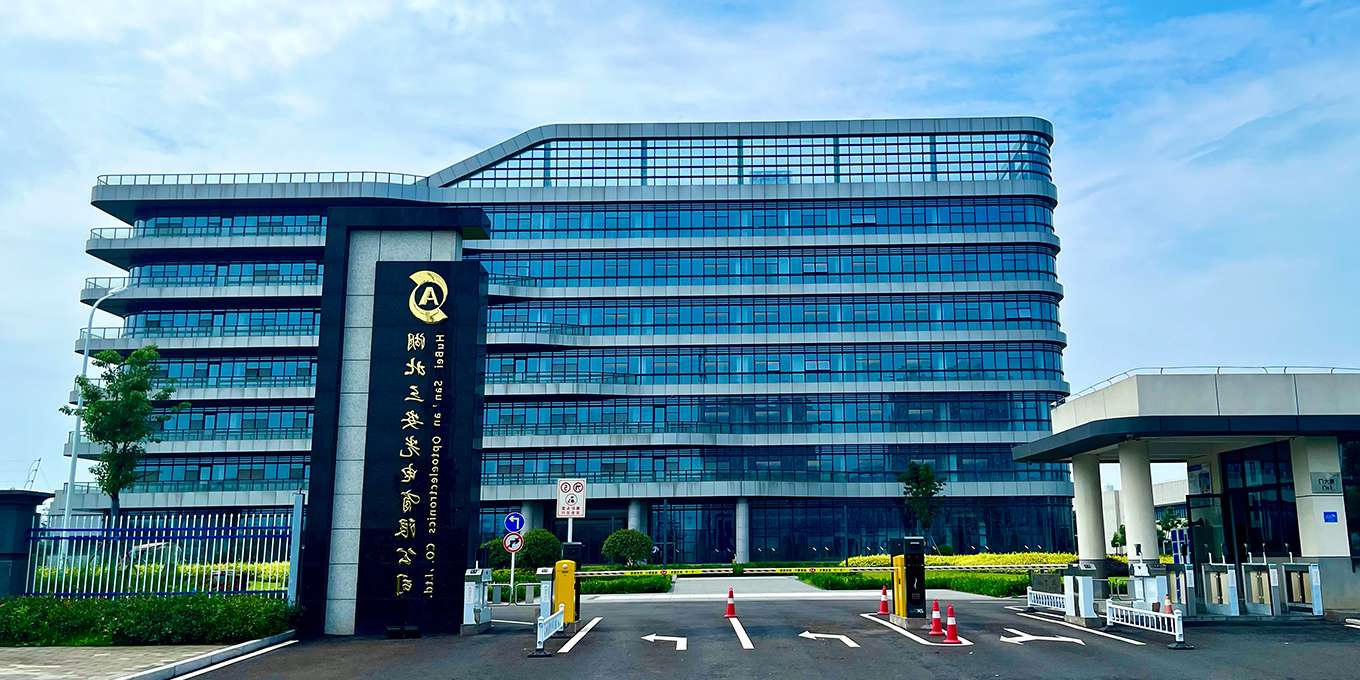 365体育比分网站